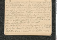 Seite 28, Tagebuch "Inzersdorf" (NHMW-PRAE-BBB-24)